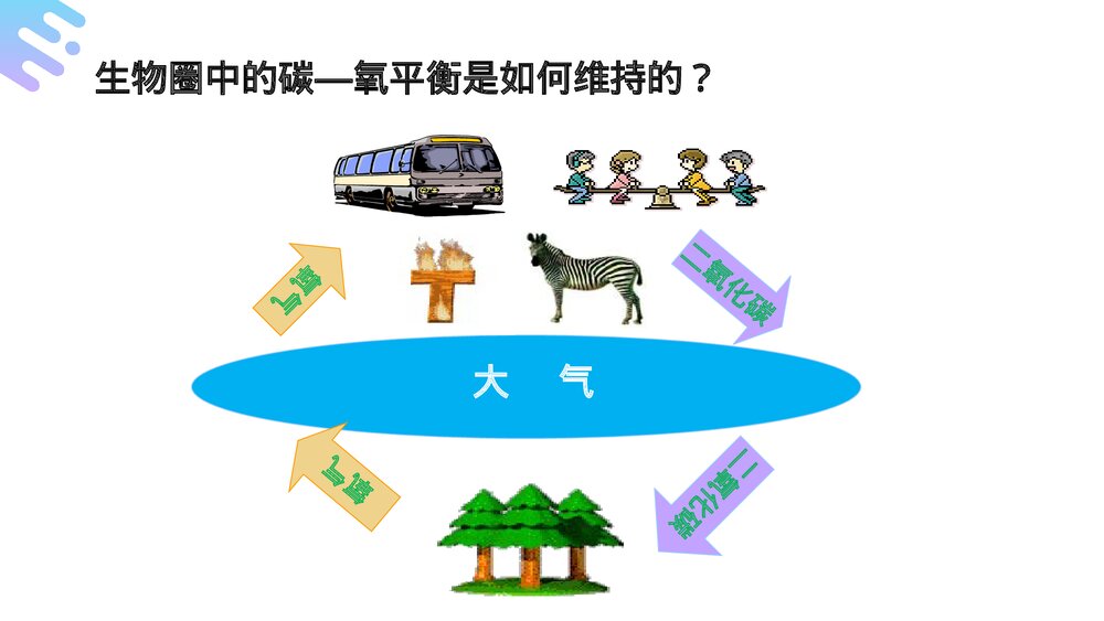 人教版七年级生物上册·初一《光合作用吸收二氧化碳释放氧气》PPT课件2