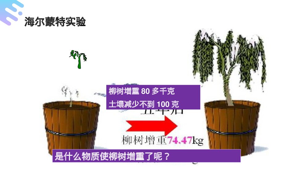 人教版七年级生物上册·初一《光合作用吸收二氧化碳释放氧气》PPT课件4