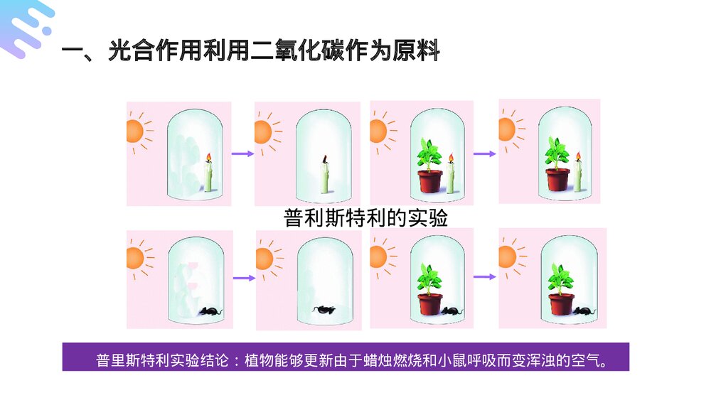 人教版七年级生物上册·初一《光合作用吸收二氧化碳释放氧气》PPT课件6