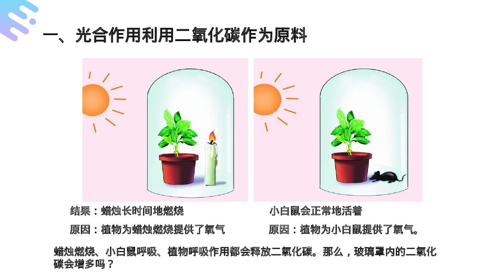 人教版七年级生物上册·初一《光合作用吸收二氧化碳释放氧气》PPT课件7