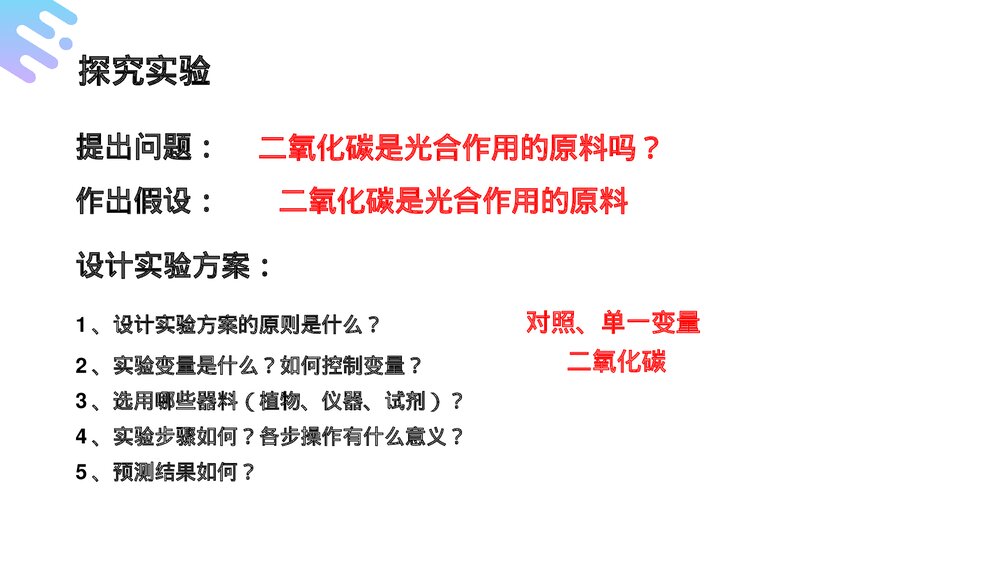 人教版七年级生物上册·初一《光合作用吸收二氧化碳释放氧气》PPT课件8