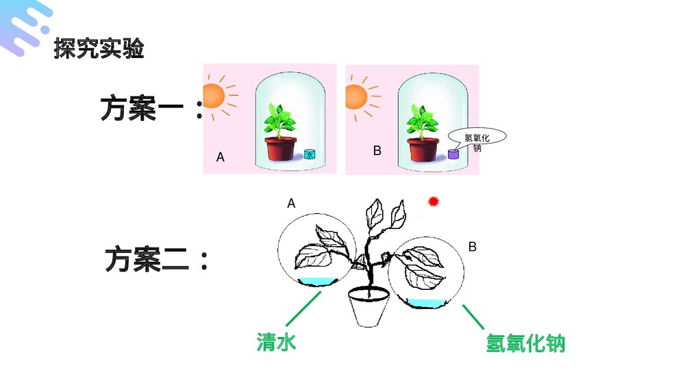 人教版七年级生物上册·初一《光合作用吸收二氧化碳释放氧气》PPT课件9
