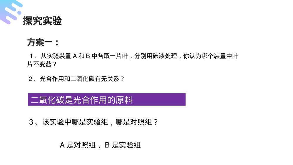 人教版七年级生物上册·初一《光合作用吸收二氧化碳释放氧气》PPT课件10