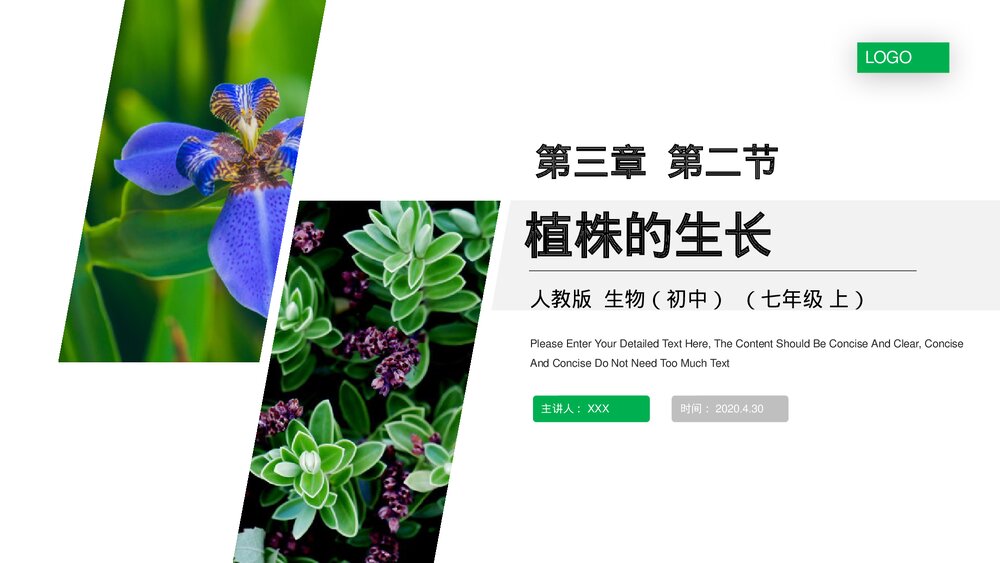 人教版七年级生物上册·初一《植株的生长》PPT课件1