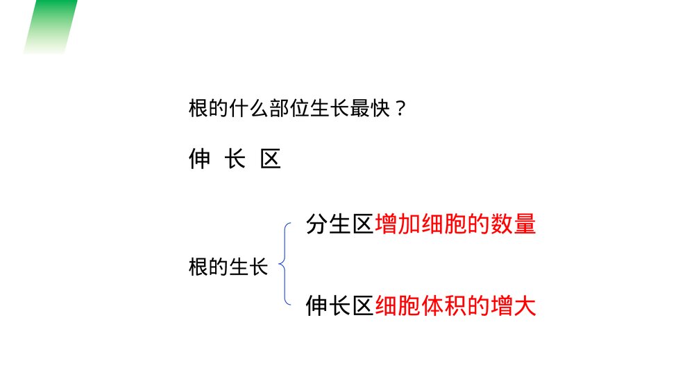 人教版七年级生物上册·初一《植株的生长》PPT课件7