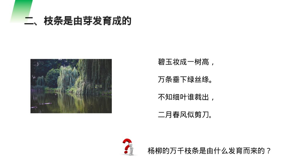 人教版七年级生物上册·初一《植株的生长》PPT课件8