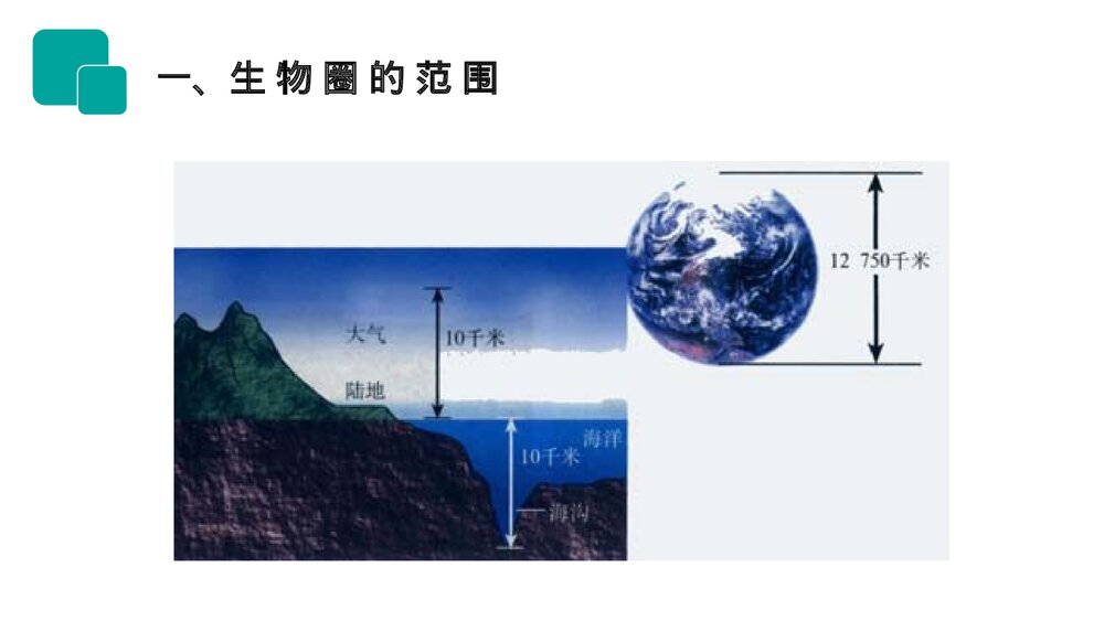 人教版七年级生物上册·初一《生物圈是最大的生态系统》PPT课件2