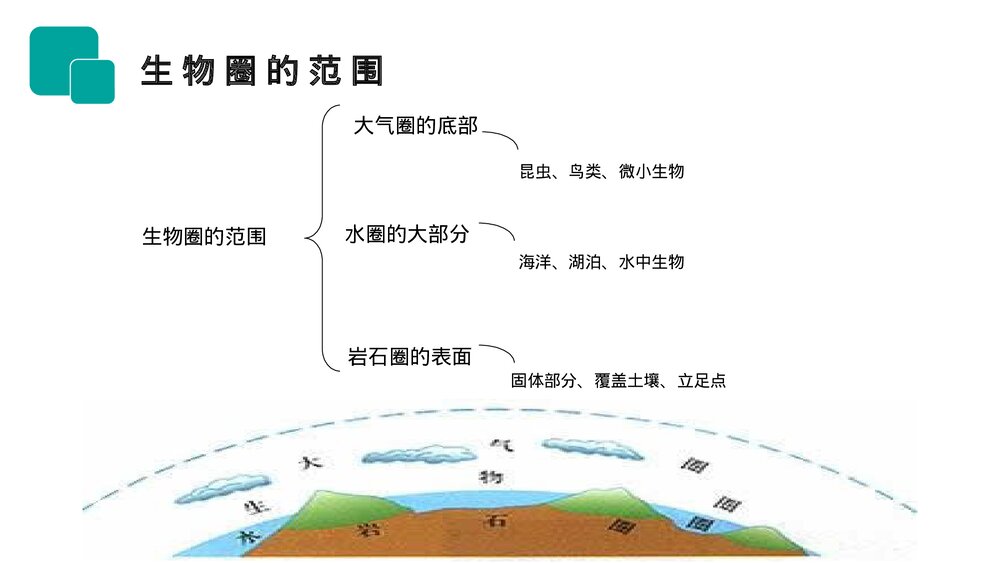 人教版七年级生物上册·初一《生物圈是最大的生态系统》PPT课件3
