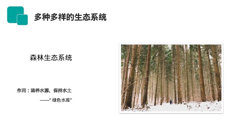 人教版七年级生物上册·初一《生物圈是最大的生态系统》PPT课件7