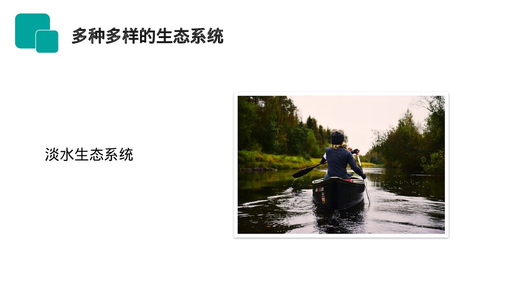 人教版七年级生物上册·初一《生物圈是最大的生态系统》PPT课件8