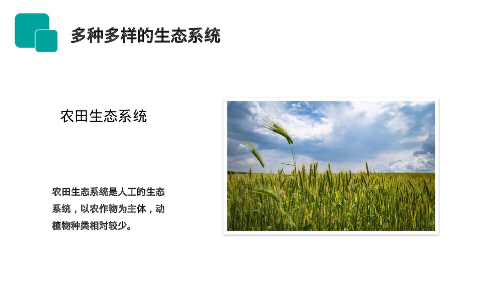 人教版七年级生物上册·初一《生物圈是最大的生态系统》PPT课件9