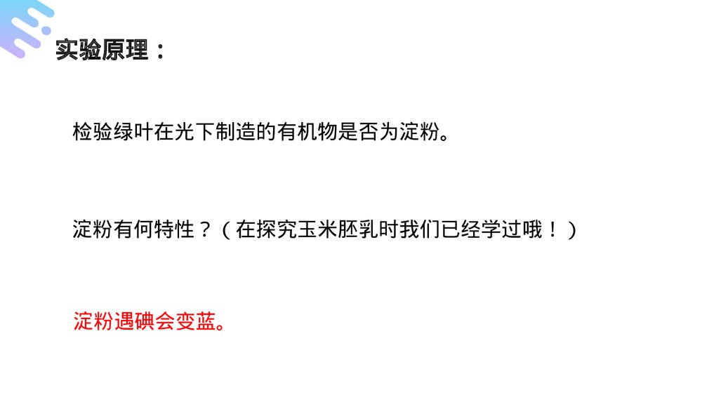 人教版七年级生物上册·初一《绿色植物是生物圈中有机物的制造者》PPT课件4