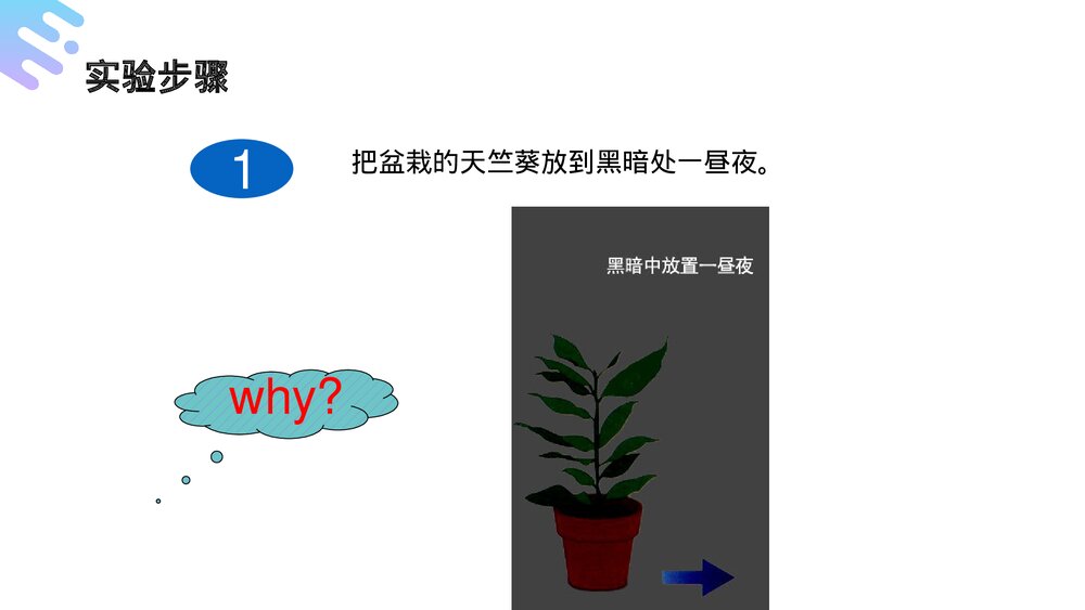 人教版七年级生物上册·初一《绿色植物是生物圈中有机物的制造者》PPT课件6