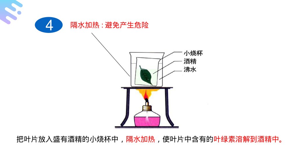 人教版七年级生物上册·初一《绿色植物是生物圈中有机物的制造者》PPT课件9