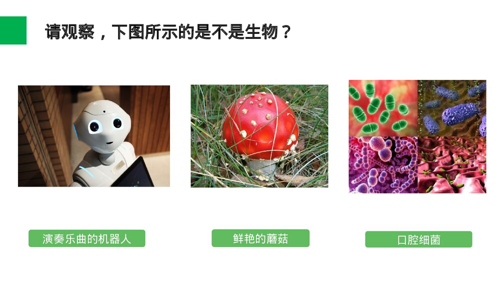 人教版七年级生物上册·初一《生物的基本特征》PPT课件2
