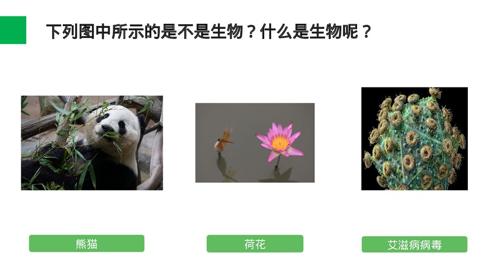 人教版七年级生物上册·初一《生物的基本特征》PPT课件3