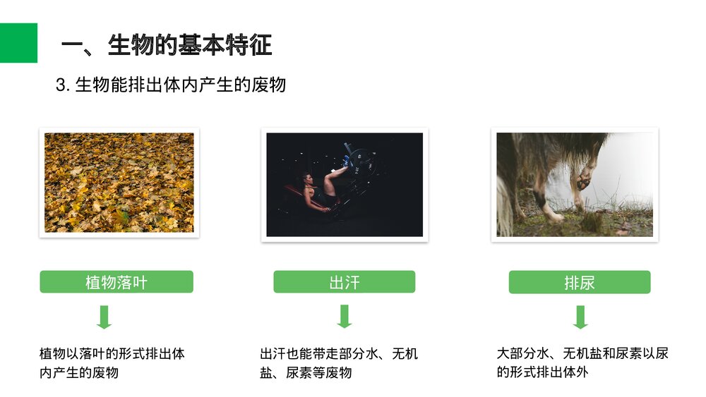 人教版七年级生物上册·初一《生物的基本特征》PPT课件6