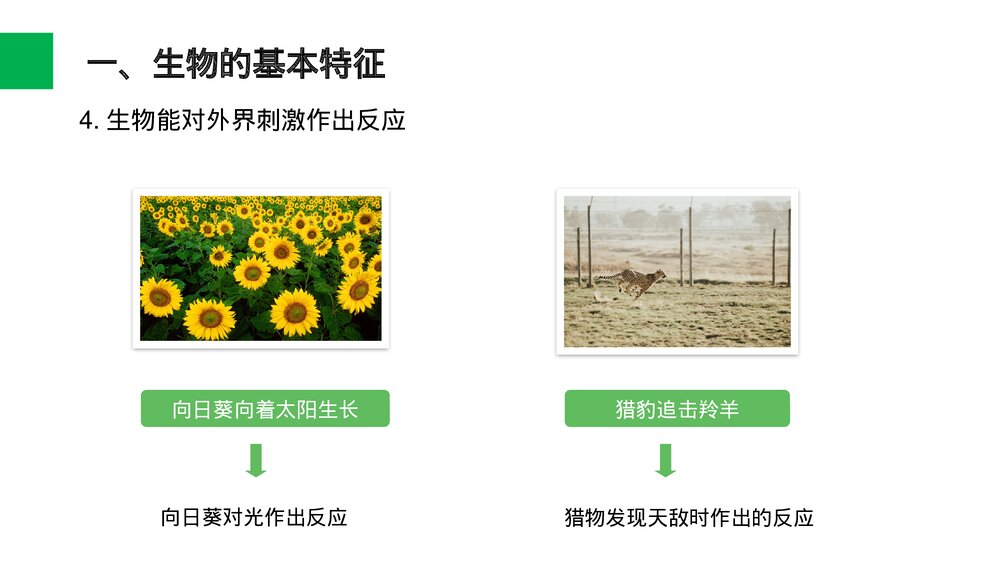 人教版七年级生物上册·初一《生物的基本特征》PPT课件7