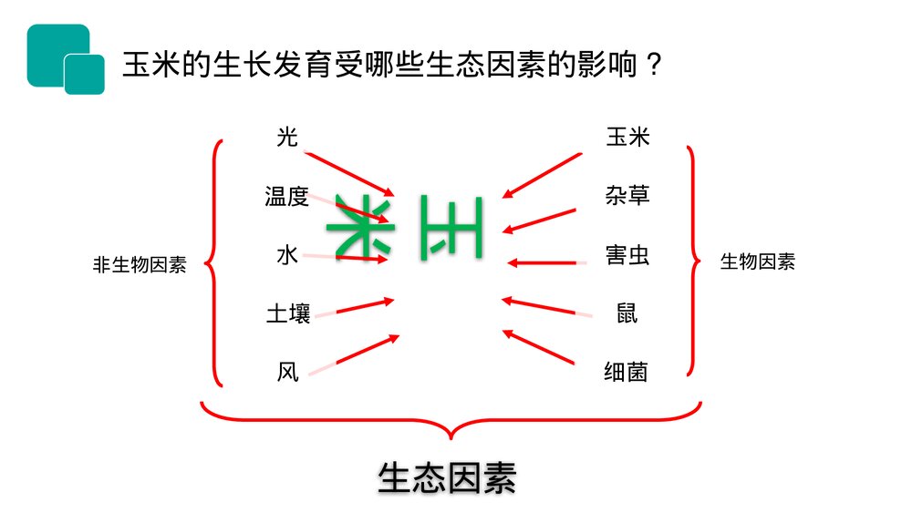 人教版七年级生物上册·初一《生物与环境的关系》PPT课件6