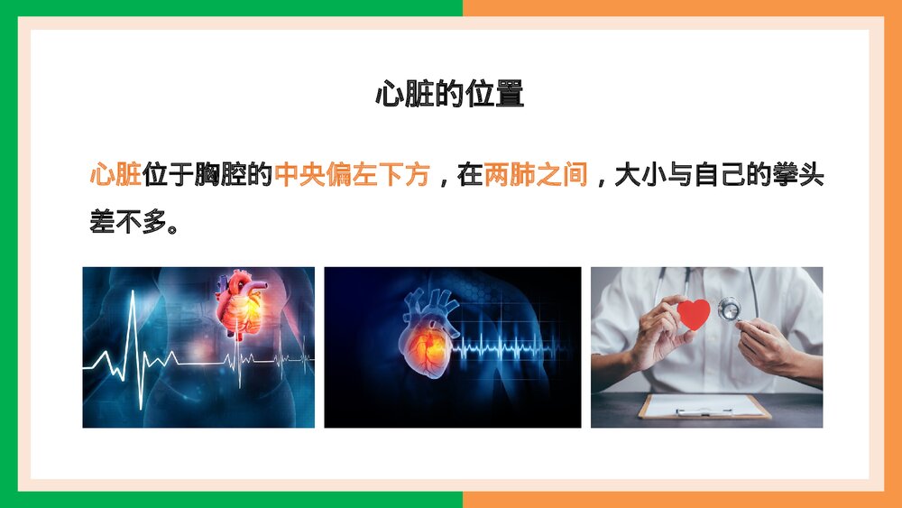 人教版·生物·七年级下册《输送血液的泵·心脏的结构和功能》PPT课件4