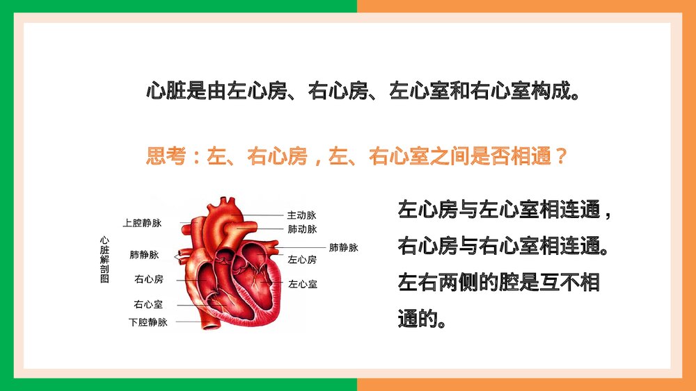 人教版·生物·七年级下册《输送血液的泵·心脏的结构和功能》PPT课件6