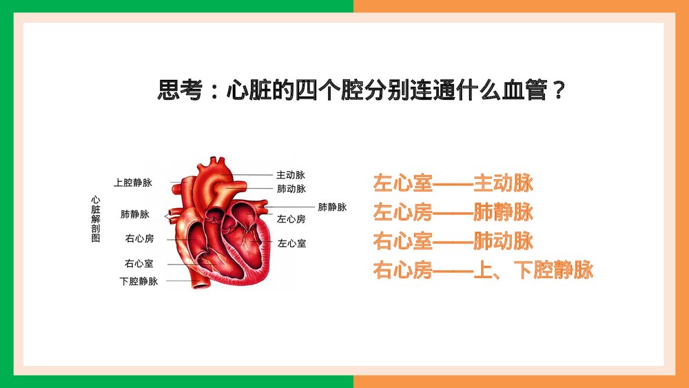人教版·生物·七年级下册《输送血液的泵·心脏的结构和功能》PPT课件7