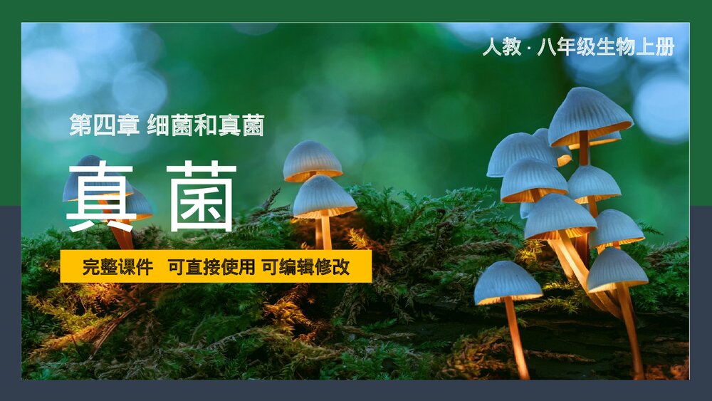人教版·八年级上册生物《真菌》PPT课件1