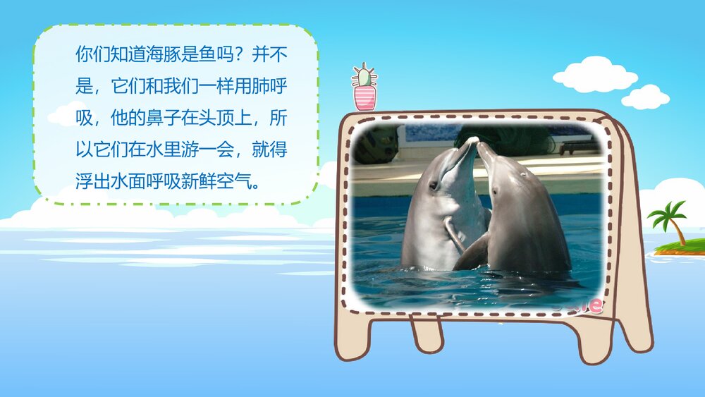 《聪明的小海豚》幼儿园小班科学活动教育主题PPT课件4