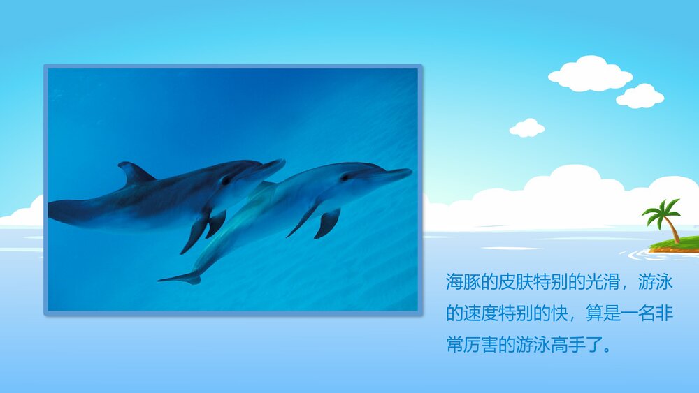 《聪明的小海豚》幼儿园小班科学活动教育主题PPT课件5