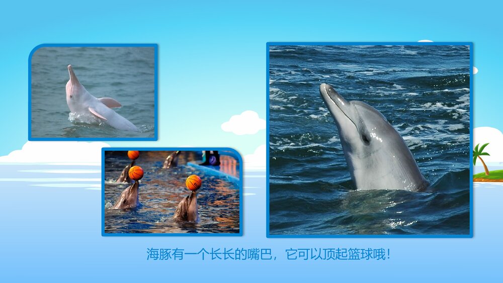 《聪明的小海豚》幼儿园小班科学活动教育主题PPT课件6