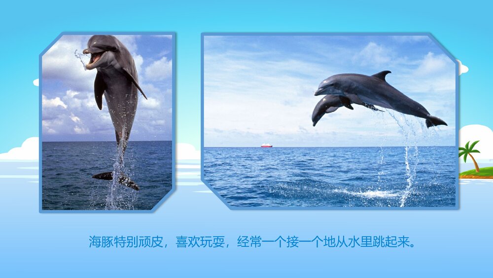 《聪明的小海豚》幼儿园小班科学活动教育主题PPT课件7