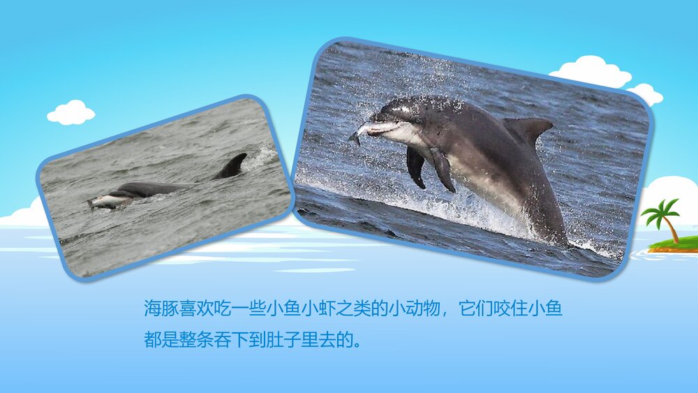《聪明的小海豚》幼儿园小班科学活动教育主题PPT课件9