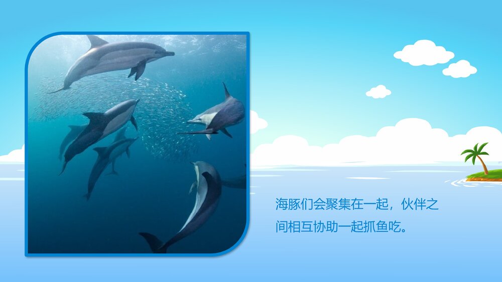 《聪明的小海豚》幼儿园小班科学活动教育主题PPT课件10