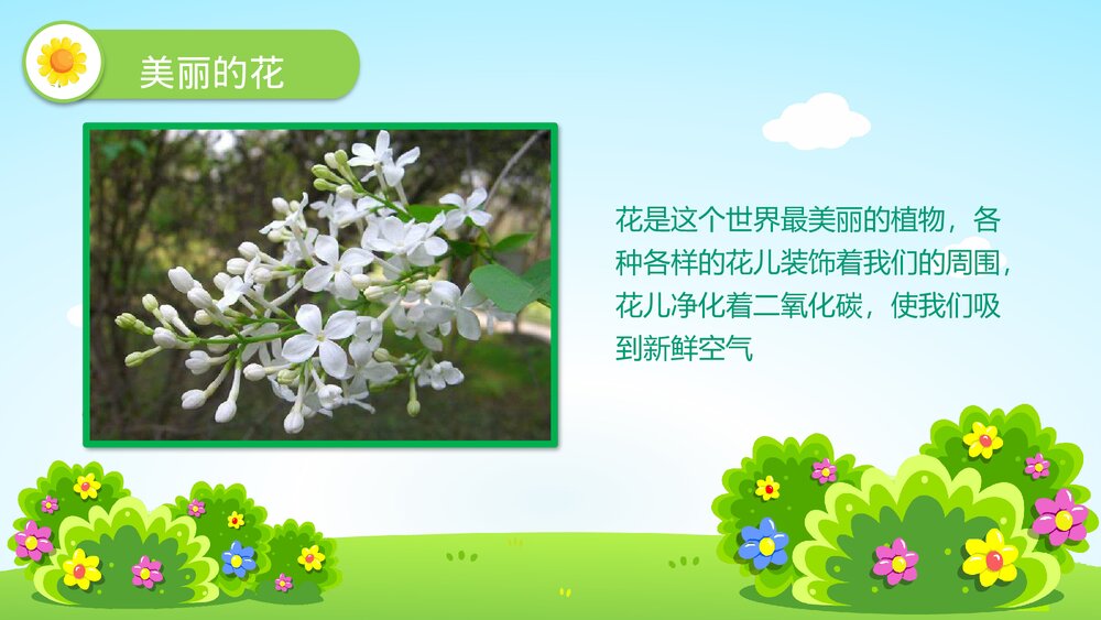 《花儿好看我不摘》幼儿园小班社会活动教育主题PPT课件3