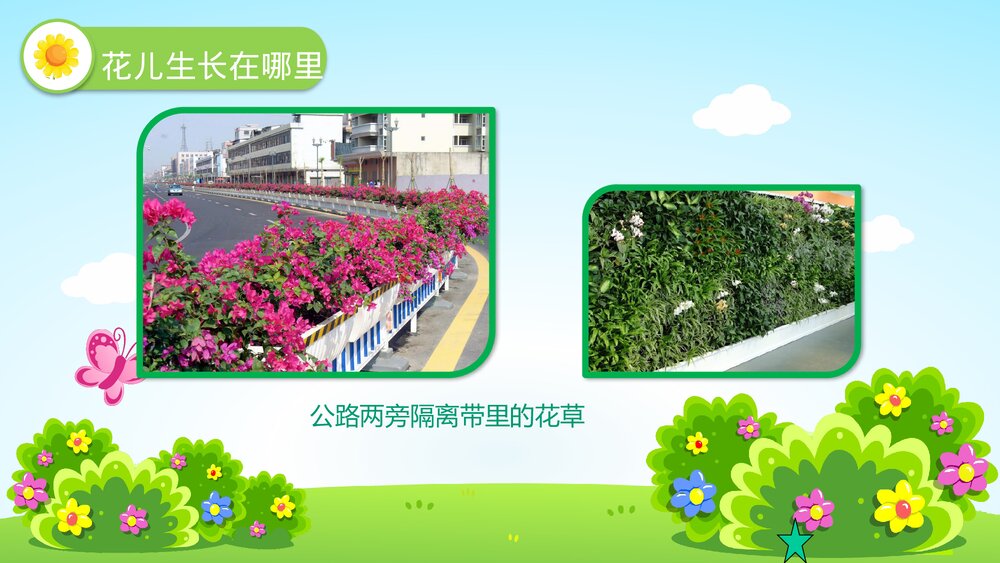 《花儿好看我不摘》幼儿园小班社会活动教育主题PPT课件5