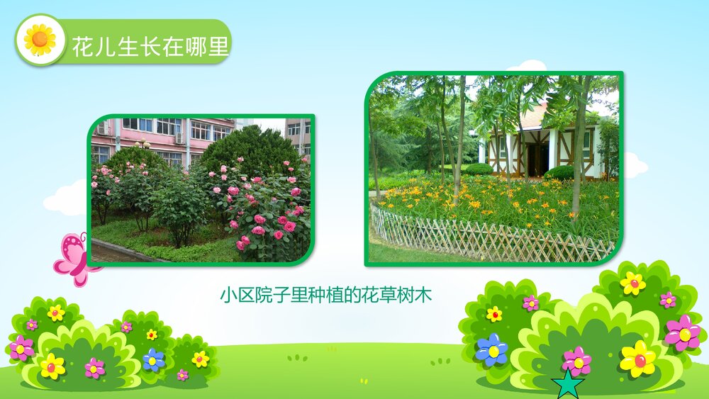 《花儿好看我不摘》幼儿园小班社会活动教育主题PPT课件6