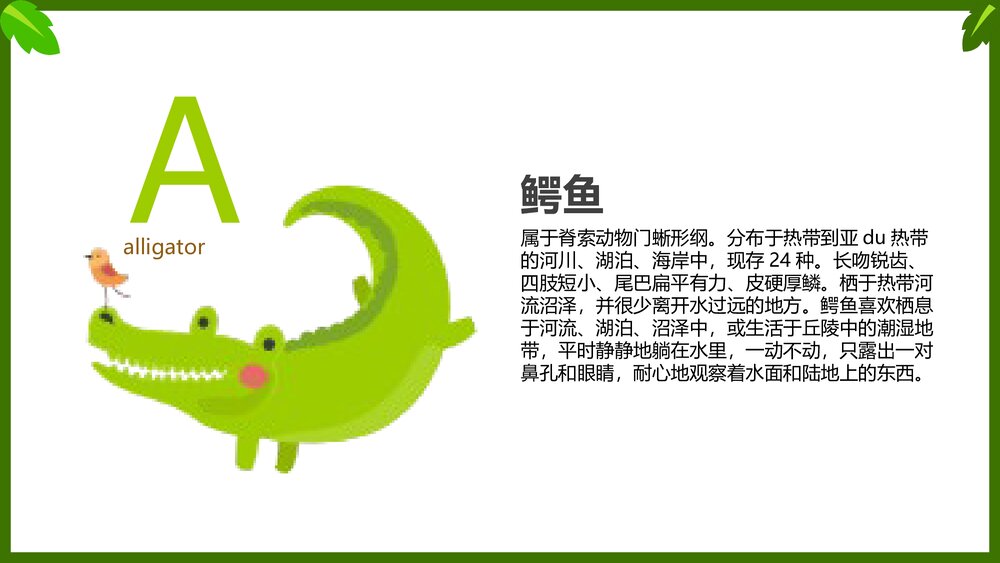 幼儿英语启蒙动物字母表教学课件PPT(带内容文字)2