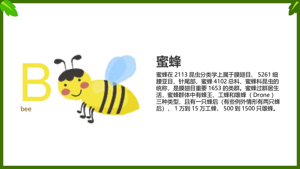 幼儿英语启蒙动物字母表教学课件PPT(带内容文字)3