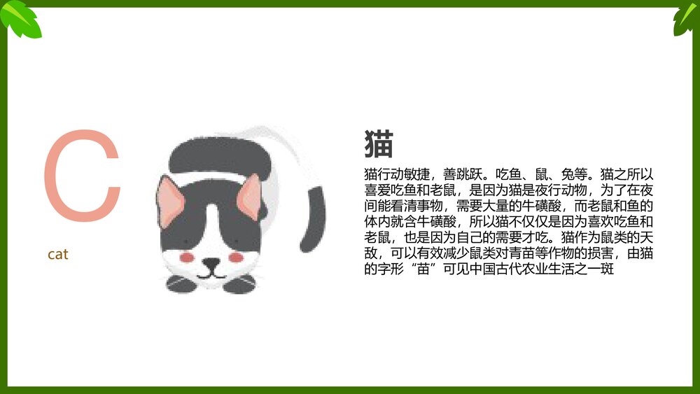 幼儿英语启蒙动物字母表教学课件PPT(带内容文字)4