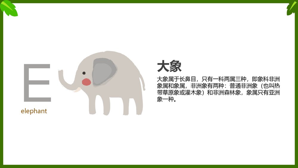 幼儿英语启蒙动物字母表教学课件PPT(带内容文字)6