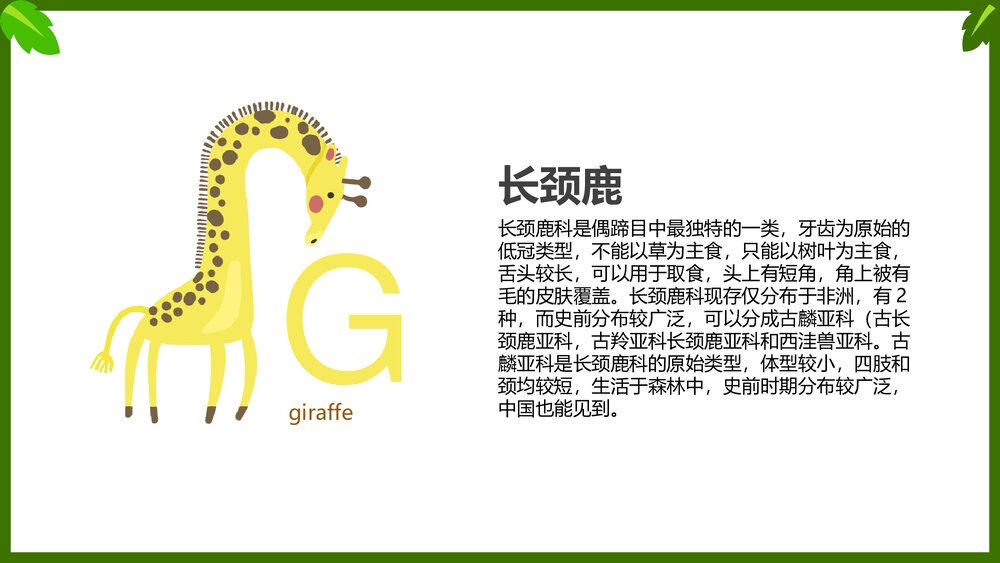 幼儿英语启蒙动物字母表教学课件PPT(带内容文字)8