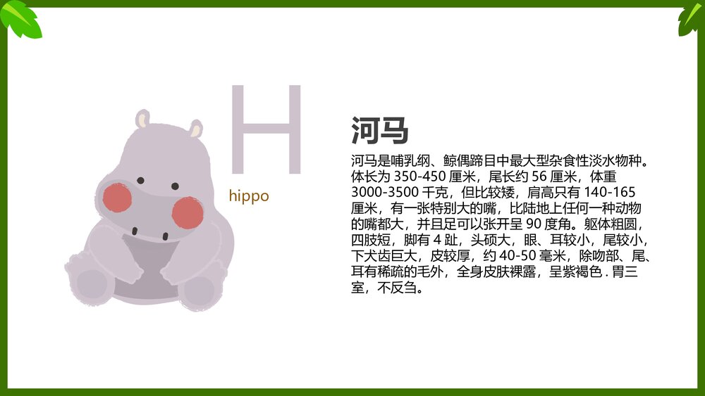 幼儿英语启蒙动物字母表教学课件PPT(带内容文字)9