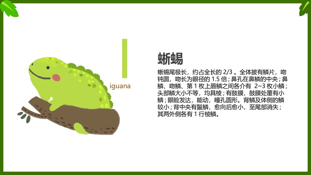 幼儿英语启蒙动物字母表教学课件PPT(带内容文字)10