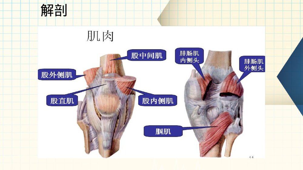 膝关节镜护理业务查房PPT课件(带内容·共61页)7
