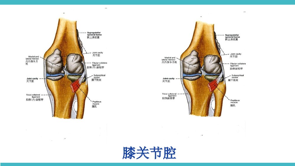 膝关节骨性关节炎非手术治疗PPT课件(带内容·共68页)7