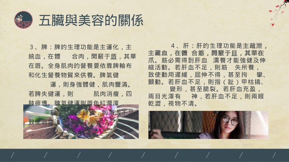 中医美容PPT课件(带内容)8