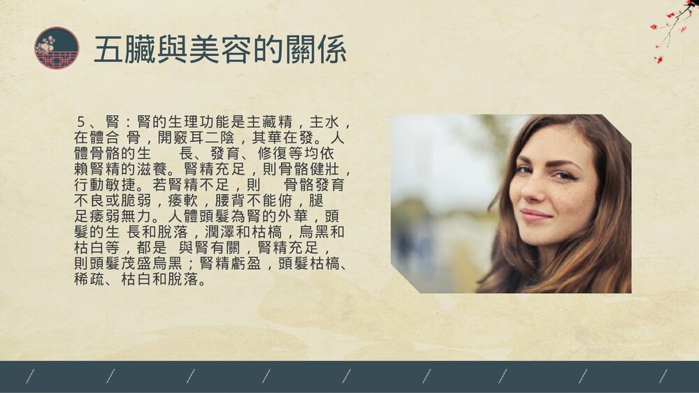 中医美容PPT课件(带内容)9