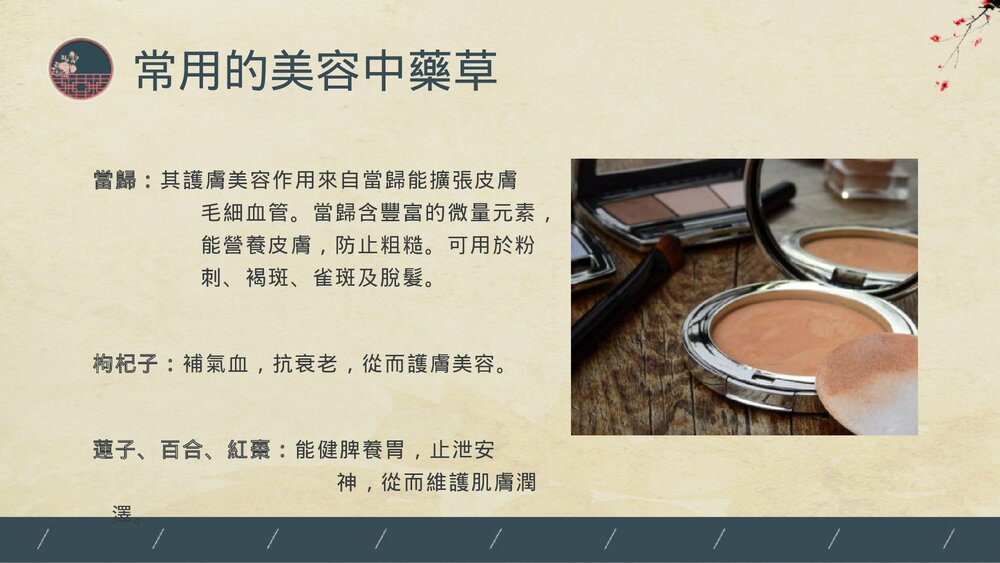 中医美容PPT课件(带内容)10