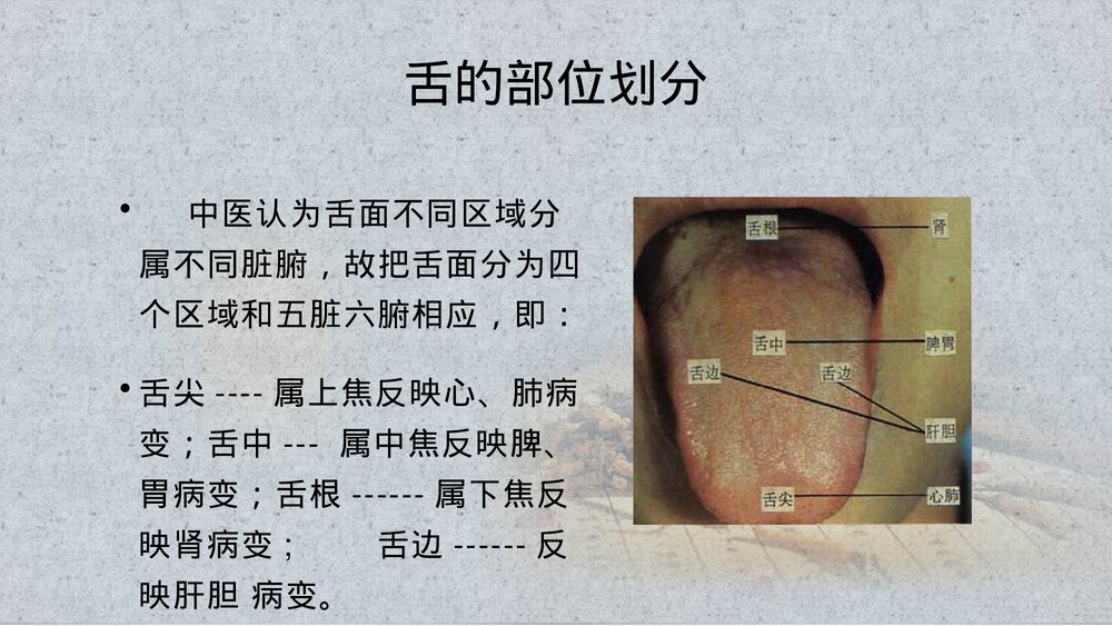 中医舌诊PPT课件(带内容)4