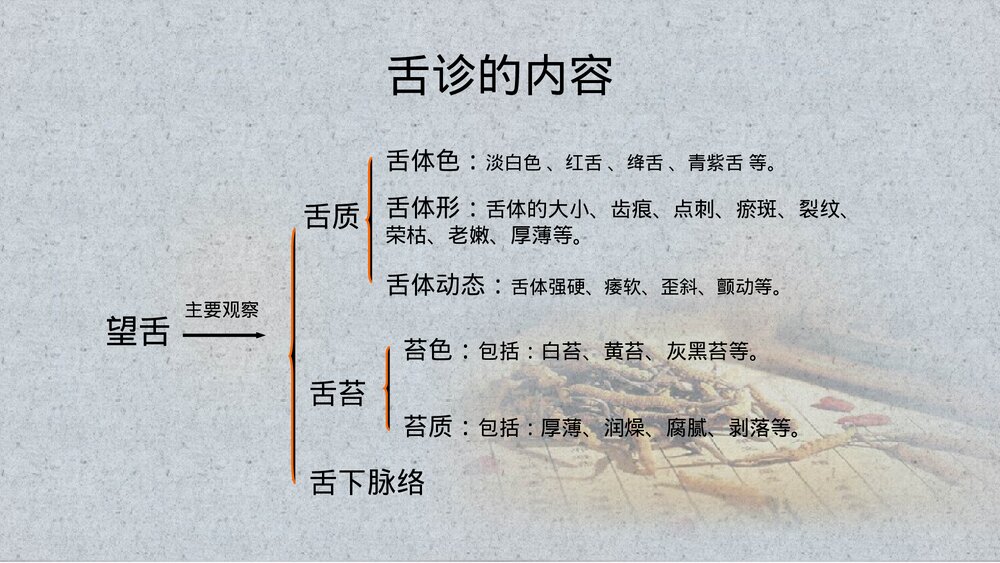 中医舌诊PPT课件(带内容)6
